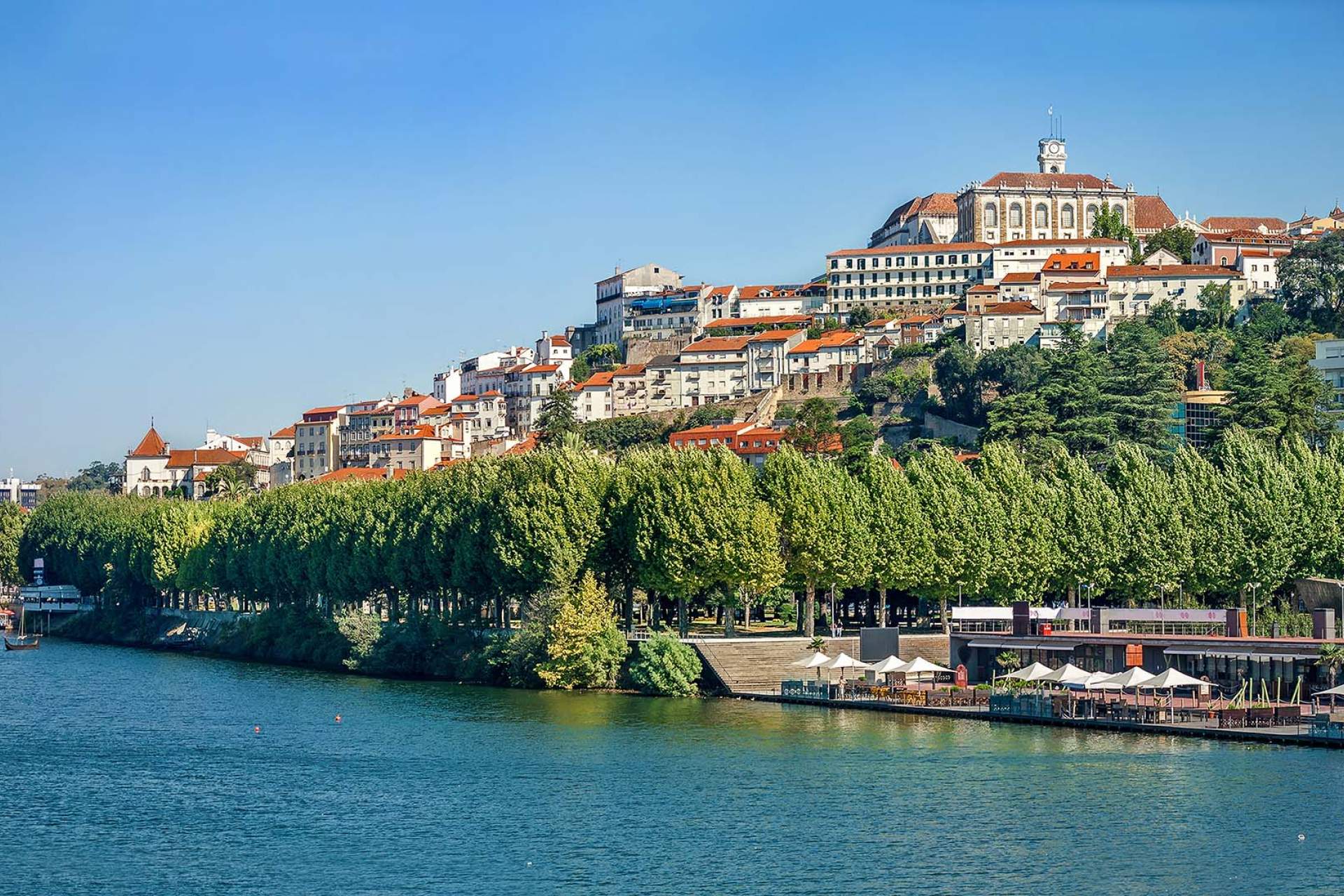 Vista sobre el río Mondego y la ciudad de Coímbra / Coimbra / Mariia Golovianko