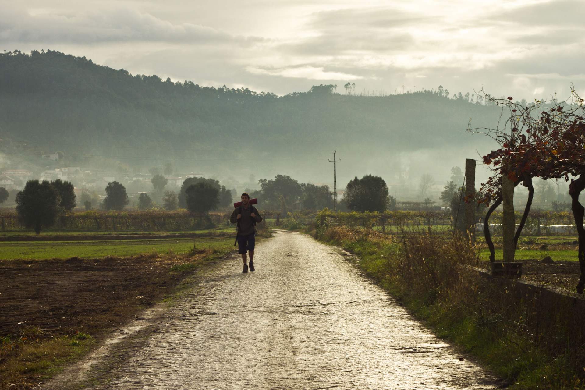 Caminhante na estrada Barcelos Credit Miguel da Santa Amatar