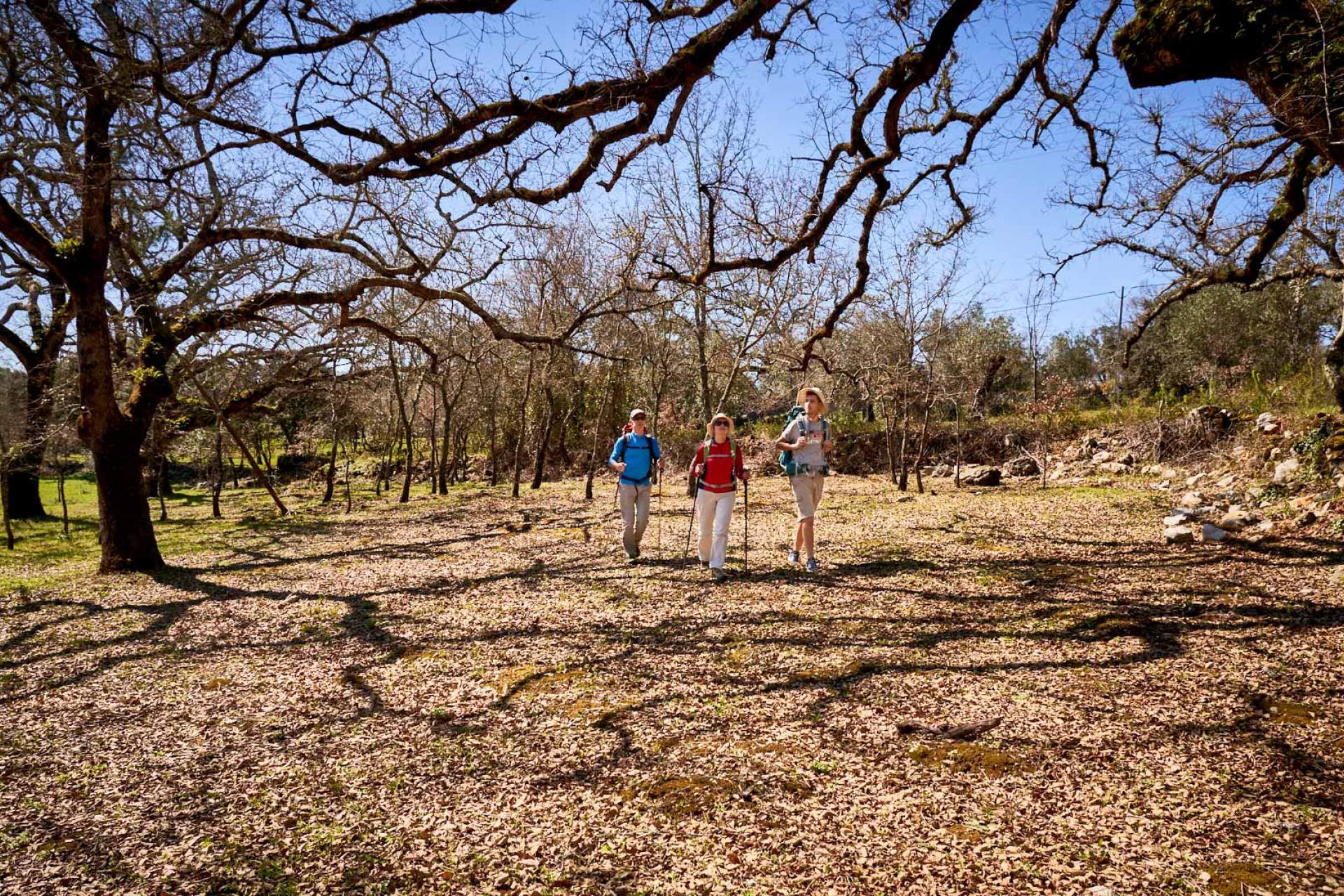 Mancha de roble negro com peregrinos, Camino del Norte, Caminos de Fátima / Alvaiázere / ADCMMM | João Margalha