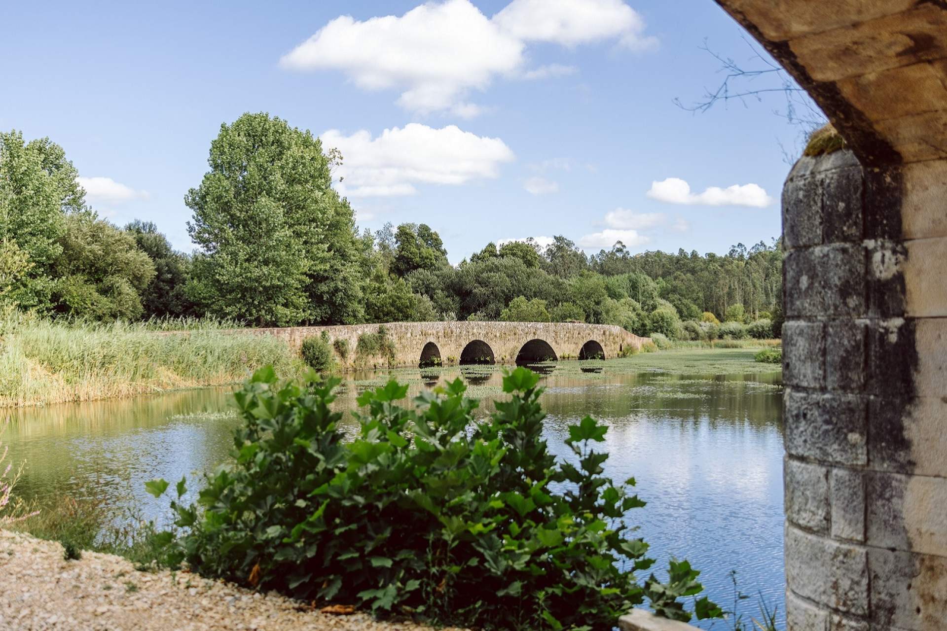 Marnel Bridge / Águeda / TCP Pedro Cerqueira