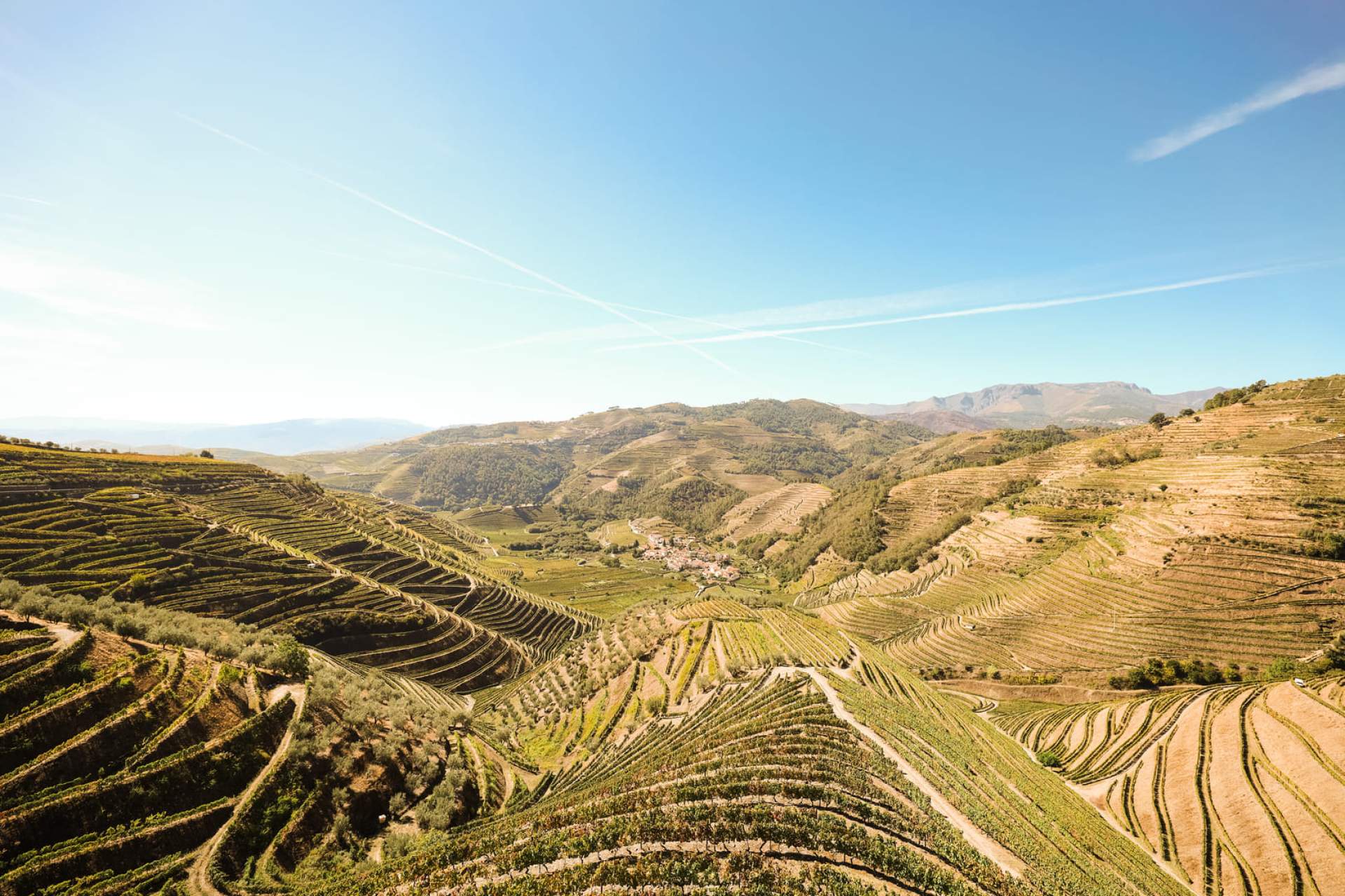 Paisagem Douro, Santa Marta de Penaguião / Alto Douro Vinhateiro / CM Santa Marta de Penaguião