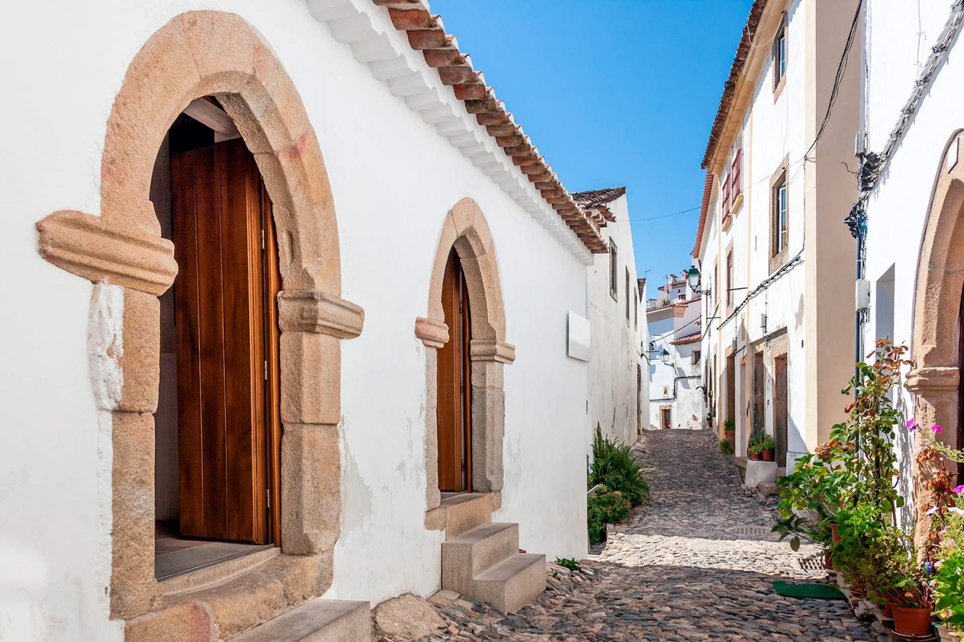 Exterior da Sinagoga medieval de Castelo de Vide / Castelo de Vide / Stock Photos Art_Shutterstock