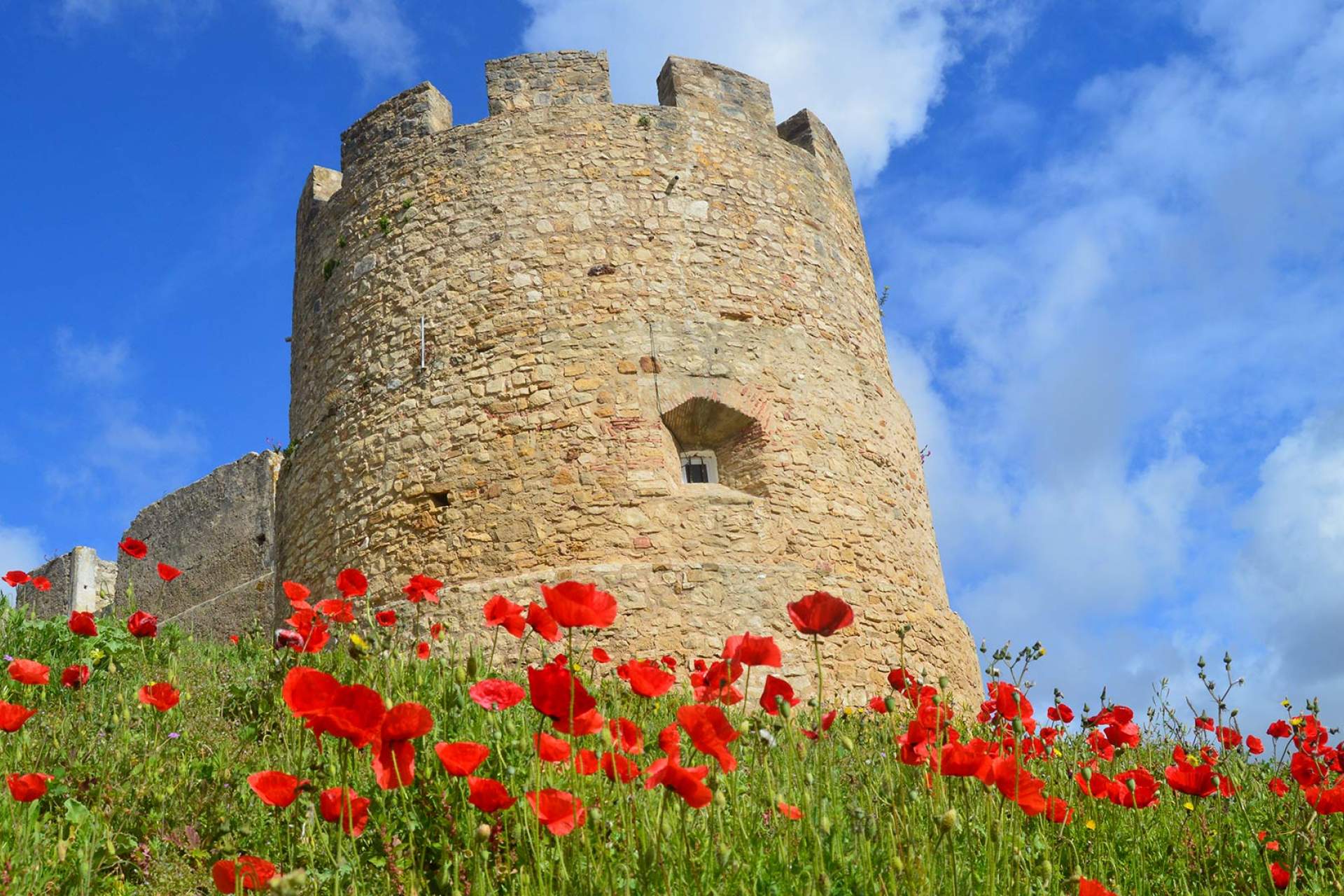 Castillo, Torres Vedras / Torres Vedras / Torres Vedras CM