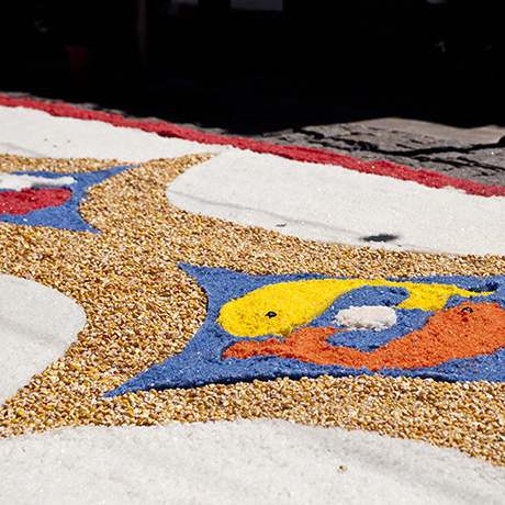 Tapetes floridos nas ruas de Viana do Castelo, festa da Senhora da Agonia