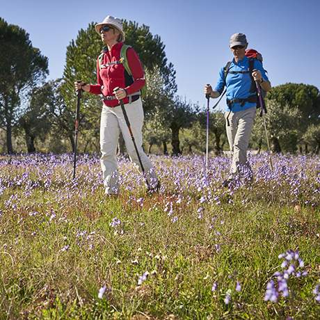 Peregrinos en un campo, Ruta Carmelita, Caminos de Fátima