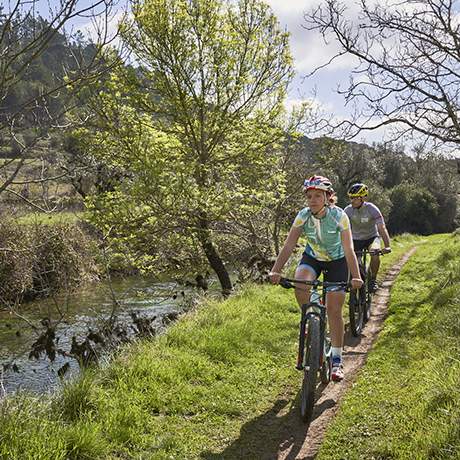 Cyclists, Carmelite Route, Fátima Ways