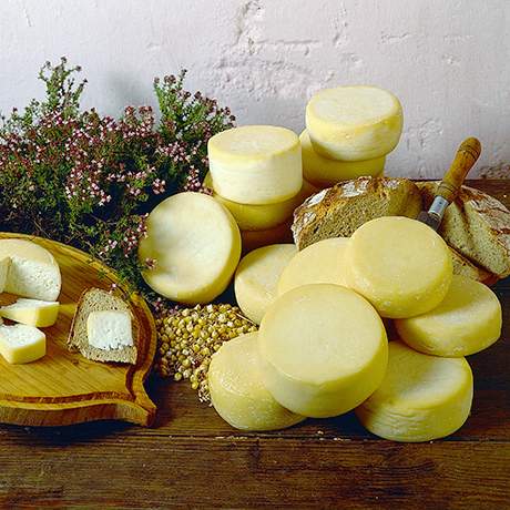 Rabaçal Cheese, Northern Way, Fátima Ways