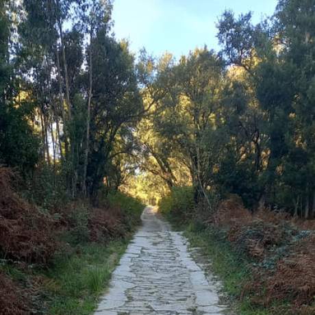 Sierra de Negrelos en VNGaia