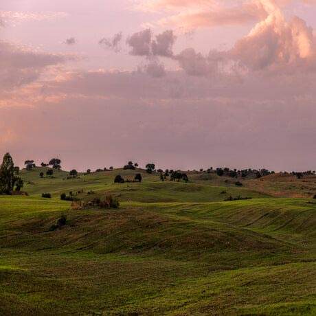 Plain in Almodôvar, Central Portuguese Way of Saint James Alentejo and Ribatejo