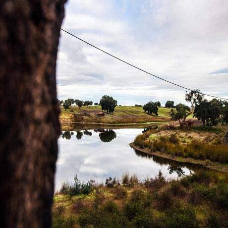 Riverside of Campilhas on the way to Fornalhas Velhas, Central Portuguese Way of Saint James Alentejo and Ribatejo