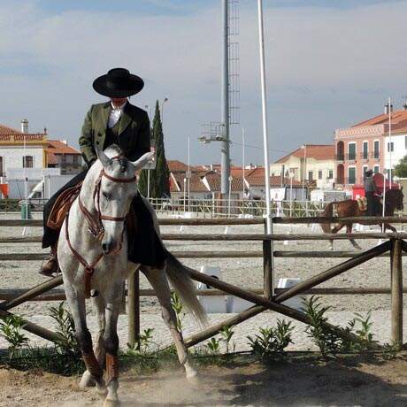 Golegã, the Capital of the Horse, Central Portuguese Way of Saint James Alentejo and Ribatejo