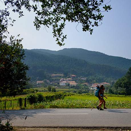 Caminantes, Camino del Norte, Caminos de Fátima