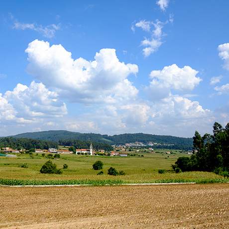 Paisagem rural, Caminho do Norte, Caminhos de Fátima 