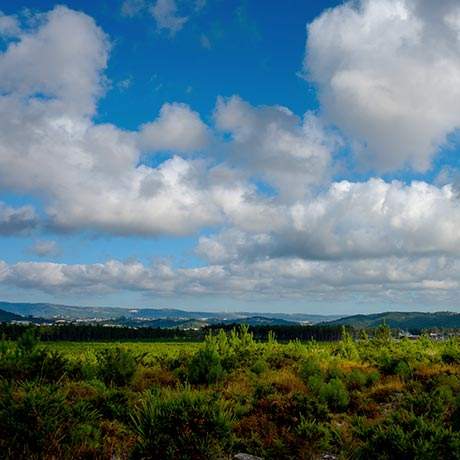 Paisagem, Caminho da Nazaré, Caminhos de Fátima