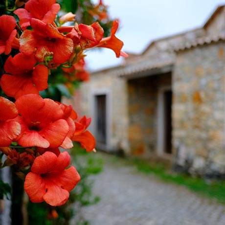 Aldeia Pia do Urso, Caminho da Nazaré, Caminhos de Fátima