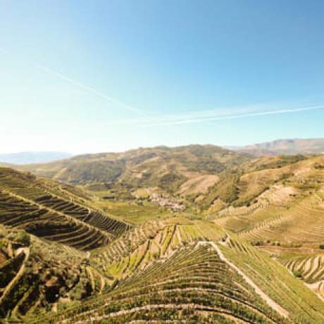 Alto Douro Vinhateiro