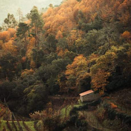 Paisagem Outono