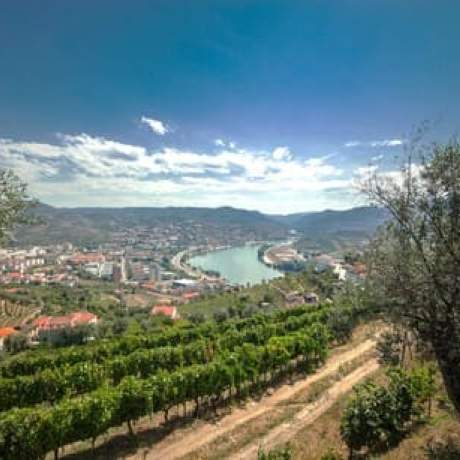 Encosta do Douro