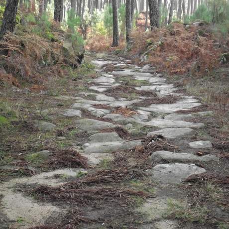 Roman Road
