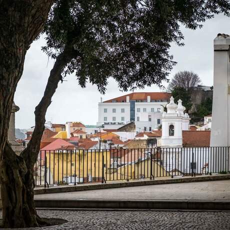 Vista de Alfama a partir do Miradouro de Santo Estevão