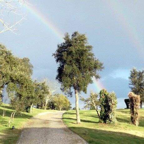 Path to Branca, Central Portuguese Way of Saint James Alentejo and Ribatejo