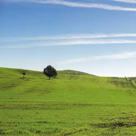 Entre Messejana y Aldeia dos Elvas, Camino Central, Caminhos de Santiago Alentejo e Ribatejo