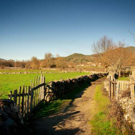 Rural Path