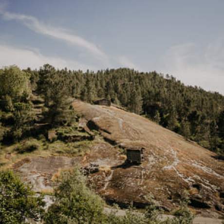Panoramic View